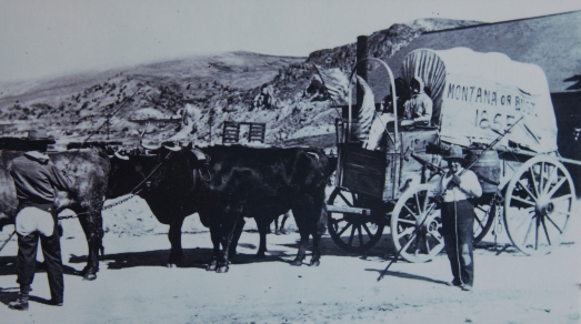 Old Photo Of Montana Homesteaders